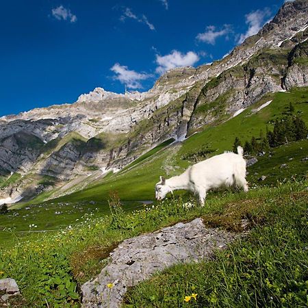 Saentis - Das Hotel Schwagalp Luaran gambar