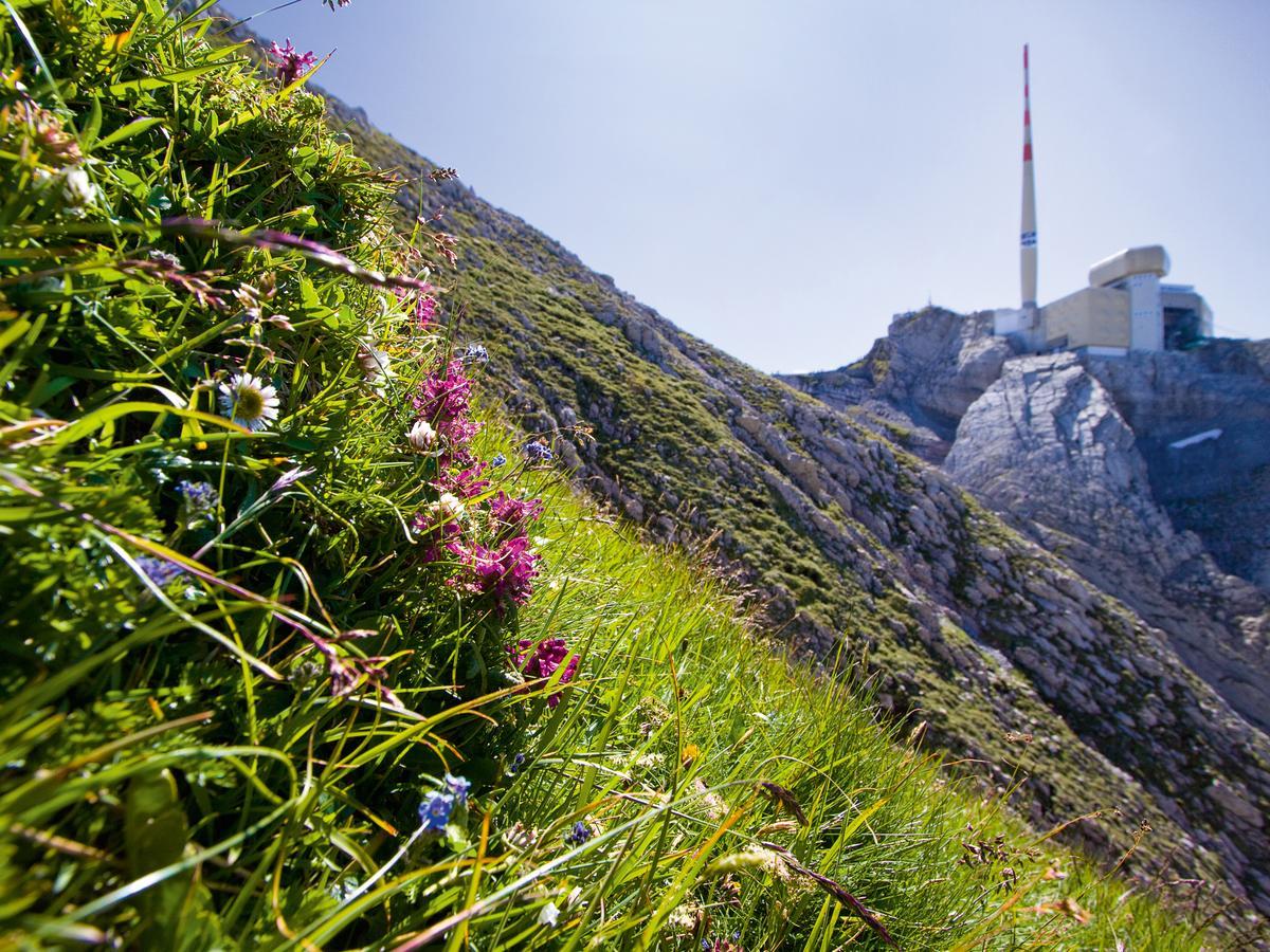Saentis - Das Hotel Schwagalp Luaran gambar